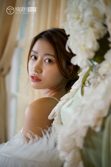 野鸭子电视剧