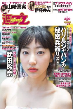 杨思梅敏金瓶全集播放9